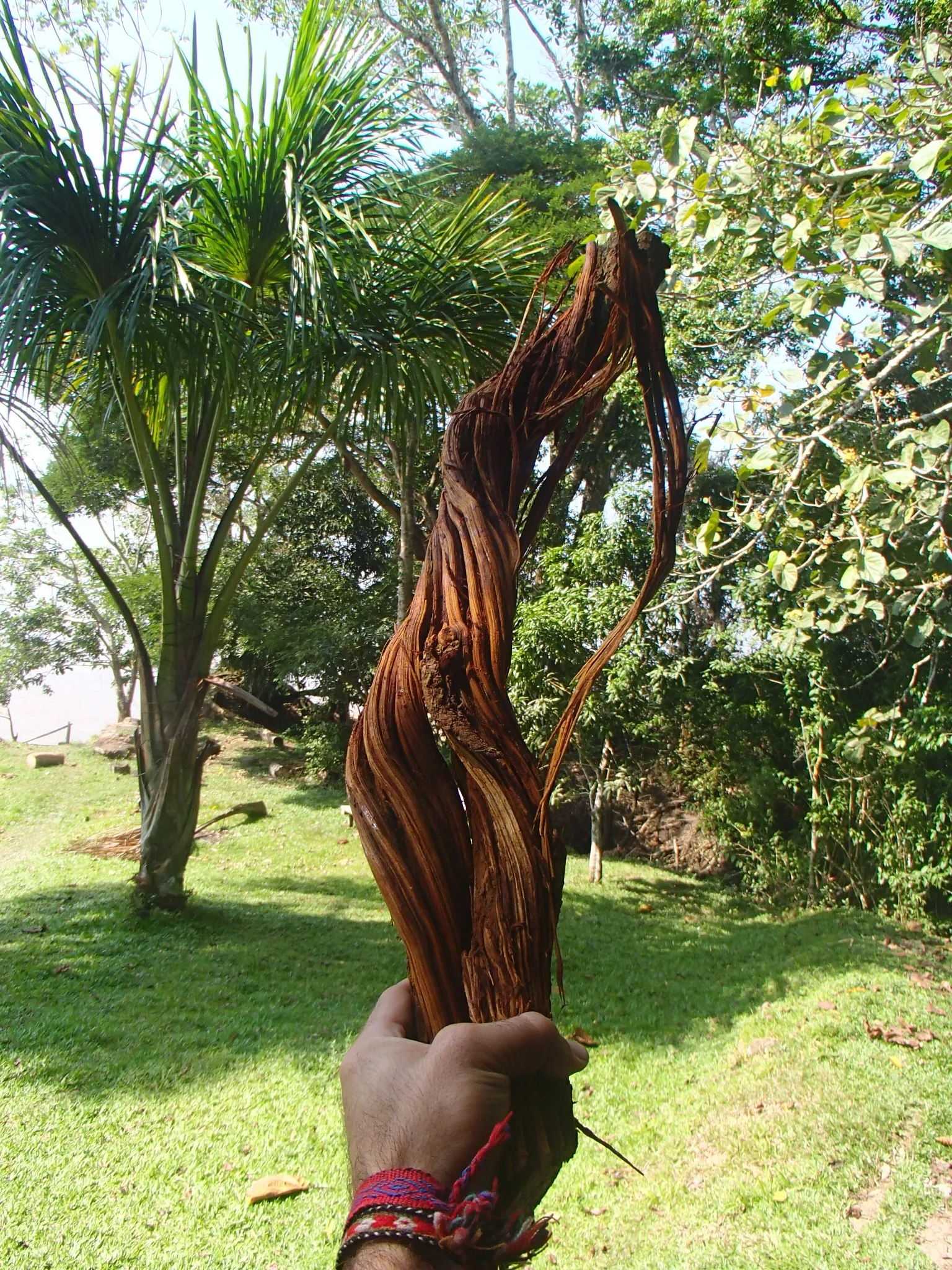 Traditional preparation cooking over fire