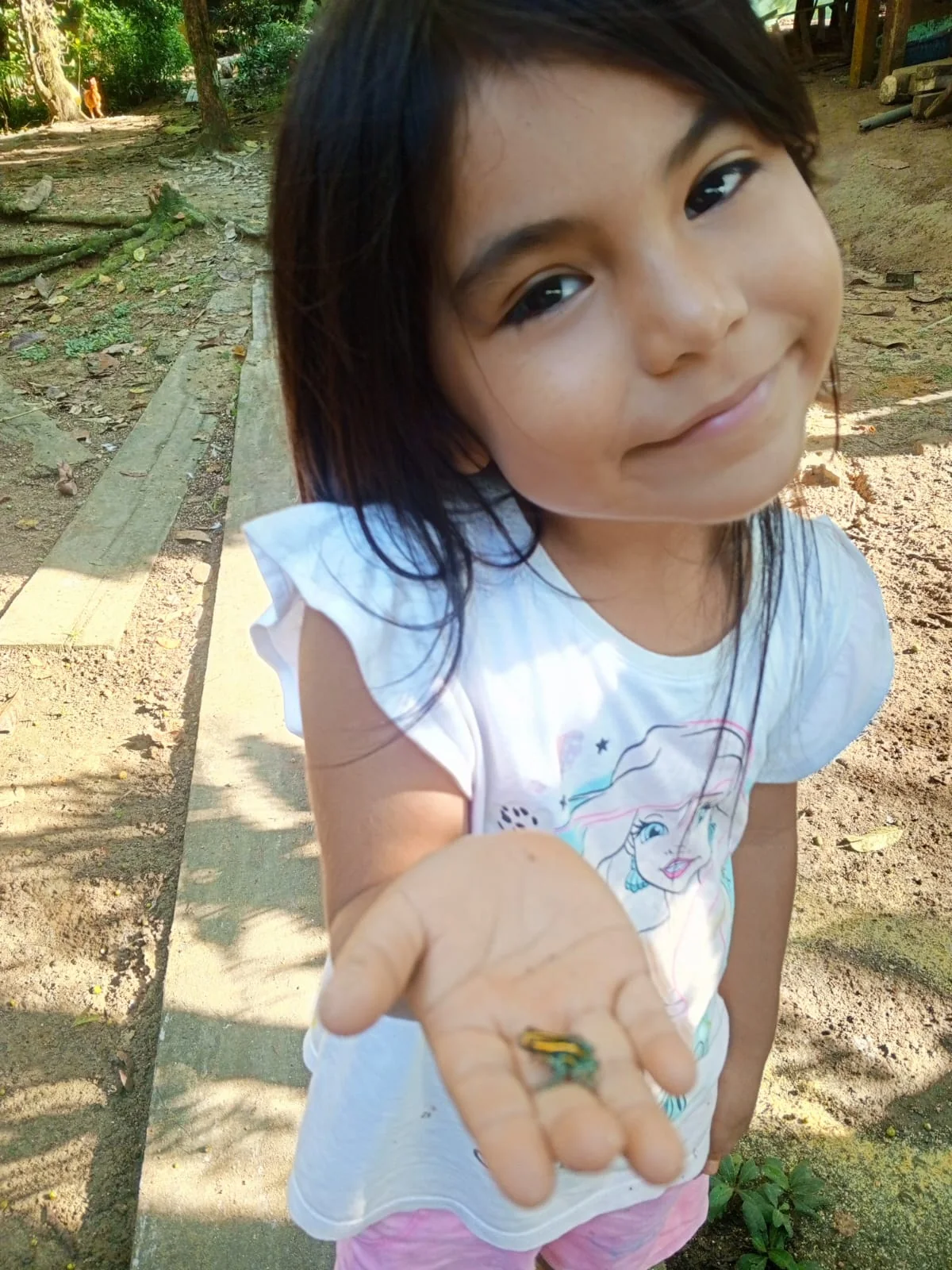 Amazonian nature around the Kukama family retreat