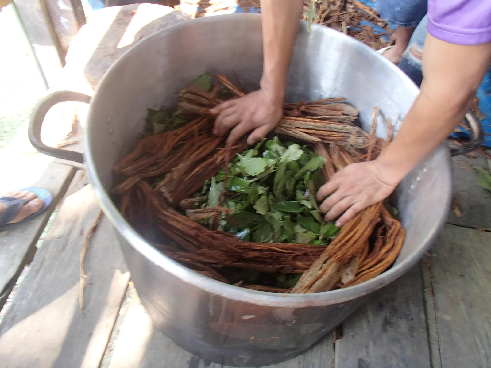 Plant material prepared by hand